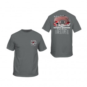 Georgia Bulldogs College Football Playoff 2022 National Champions Recap T-Shirt Gray